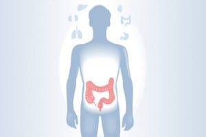 Gastroenterology, Colonoscopy, digestive health, Acid Reflux, Abdominal Pain, Heartburn, Bleeding During Bowel Movements, Persistent Diarrhea