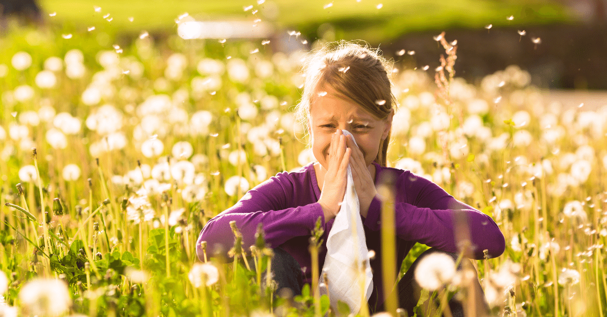 6 Allergy Solutions